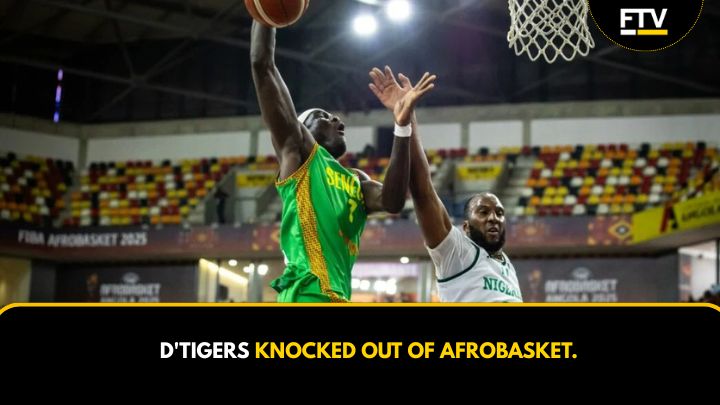 D'Tigers