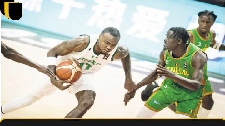 D'tigers